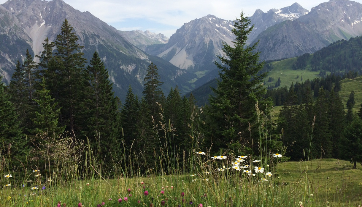 Burtschasattel, Brandnertal